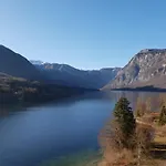 Darja