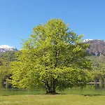 Darja *