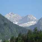 Darja