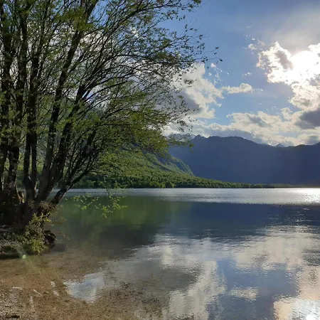 Апартаменты Darja *