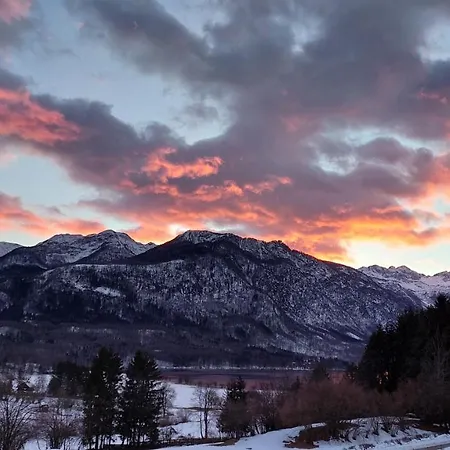 Апартаменты Darja Бохинь