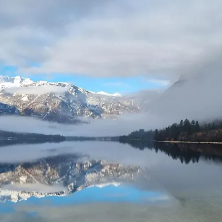 Darja * Bohinj