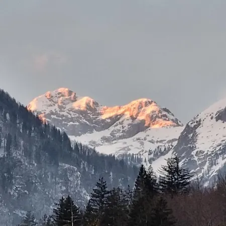 Апартаменты Darja Бохинь