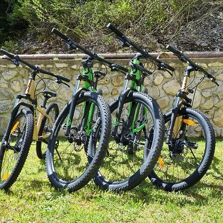 Darja Апартаменты *